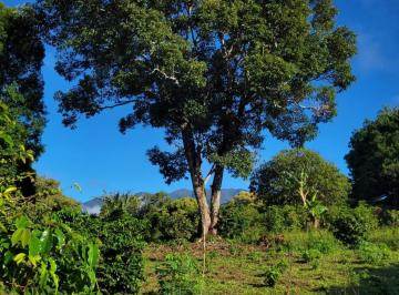 Terreno / Lote · 3333m² · Terreno en Venta en Boquete/land For Sale in Boquete