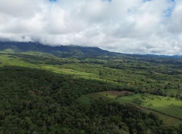 Terreno / Lote , Boquete · Precio Reducido! Lote de 24 Acres en Venta en Potrerillos Arriba Boquete