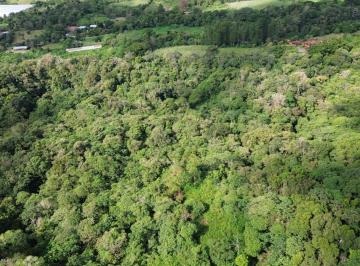 Terreno / Lote , Boquete · Precio Reducido! Lote de 24 Acres en Venta en Potrerillos Arriba Boquete