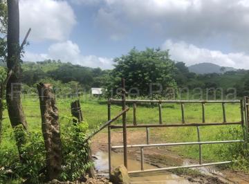 Terreno / Lote , Panamá · Terreno en Venta en Chepo