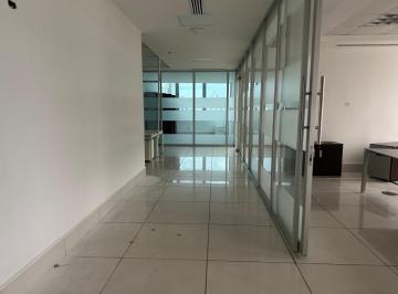 Oficina comercial · 470m² · 3 Estacionamientos · Alquilo Oficina Punta Pacifica Torres de Las Americas