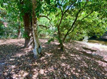 Terreno / Lote , San Carlos · Terreno Finca Costa Esmeralda Frente Al Río Teta en Venta