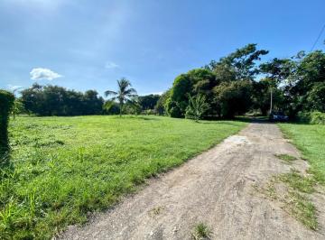 Terreno / Lote , Chame · Terreno en Gorgona en Venta 3