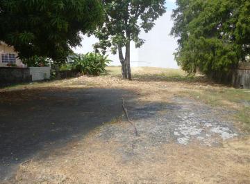 Terreno / Lote · 80m² · Terreno en Alquiler en Coco del Mar (Id 11622)