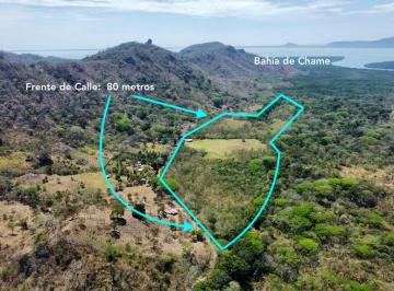 Finca , Capira · Finca en Capira de 20.96 Hectáreas en Venta