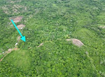 Finca , Penonomé · Finca en Toabré Chiguirí Abajo Sabana Larga Penonome en Venta