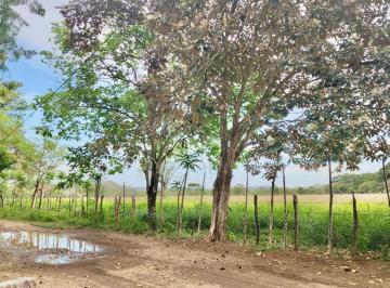Terreno / Lote , David · Invierte con Visión en Bijagual, David, Chiriquí!