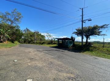 Terreno / Lote , Soná · Soná Finca Terreno Para Desarrollo Residencial Habitacional