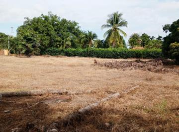 Terreno / Lote , Coronado · Venta de Terreno en Coronado