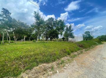 Terreno / Lote , Dolega · Terreno en Venta Potrerillos Abajo, Chiriquí Cod. 26 - 522 Rah / Pj 1111 - 15