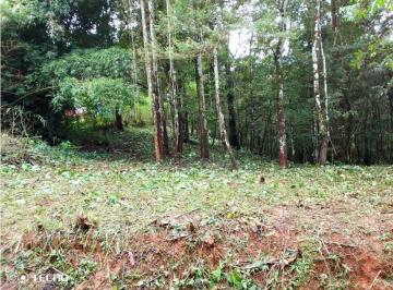Terreno / Lote , Cerro Azul · Venta Terreno Cerro Azul