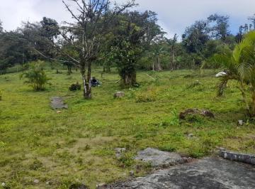 Terreno / Lote , Capira · Venta Terreno Ciri Grande