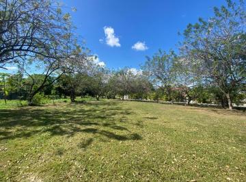 Terreno / Lote , Chame · Venta Terreno Nueva Gorgona