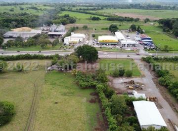 Terreno / Lote , David · Rsw26613. Se Vende Increible Finca de Mas de 61 Ha en David. Se Puede Segregar.