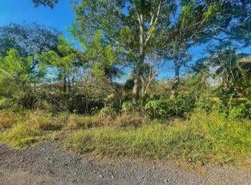 Terreno / Lote , David · Terreno en Venta David, Aeropuerto Cod. 26 - 464 Rah / Pj 1111 - 15