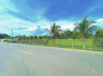 Terreno / Lote , David · Terreno en Venta San Pablo Nuevo, David, Chiriquí Cod. 25 - 3780 Rah / Pj 1111 - 15