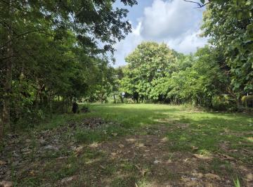 Terreno / Lote , Antón · Santa Clara - Remate Terreno Super Plano - a 3 Minutos de Interamericana