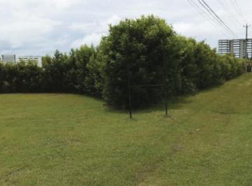 Terreno / Lote · 3378m² · Venta de Terreno en Río Hato, Playa Blanca