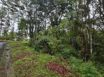 Terreno / Lote , Panamá · Tu Refugio en Cerro Azul – ¡Terreno en Venta!