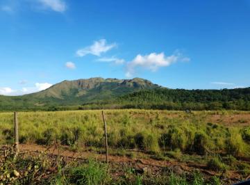 Finca , Chame · Venta de Finca en Chame, 50 Hectáreas