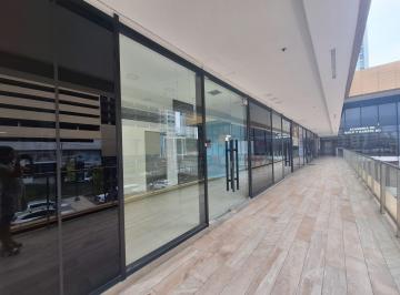 Local comercial , Panamá · Local en Alquiler en La 12 de Octubre