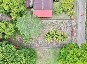 Terreno / Lote , David · Lote Comercial – Crecimiento y Plusvalía Garantizados, David Chiriquí