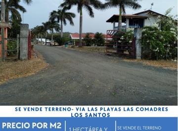 Terreno / Lote · 15705m² · Se Vende Terreno en Los Santos - Via a Playa Las Comadres