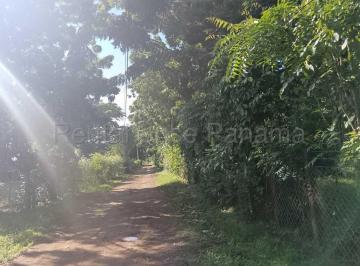 Calle de entrada · Se Vende Lote en Playa Monagre Nmr