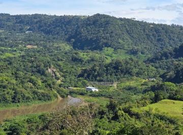 Finca , Renacimiento · Finca Agrícola en Venta en Caizán, Distrito de Renacimiento