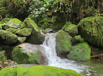 Finca , Boquerón · Lotes Rurales en Venta en Cordillera Arriba, Chiriquí