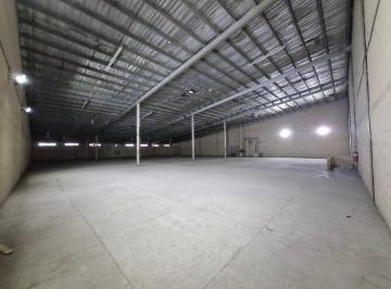 Bodega-Galpón-Depósito de 1 habitación, Zona Libre · Bodega en Venta en France Field