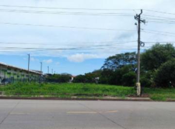 Terreno / Lote · 8000m² · Venta de Terreno en Herrera, Chitre Area Comercial
