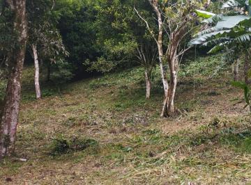 Terreno / Lote , San Carlos · Venta de Terreno en San Carlos, Piedras Gordas, 5,200 m²