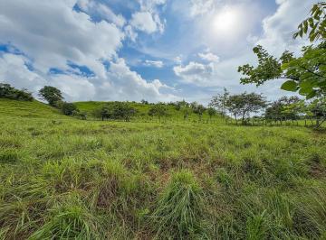 Terreno / Lote , Dolega · 9 Hectáreas + 9,367 m² de Terreno con Acceso Al Río en Dolega