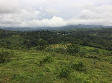 Finca , La Chorrera · Venta de Finca en La Chorrera, Los Mortales, 54 Hectáreas