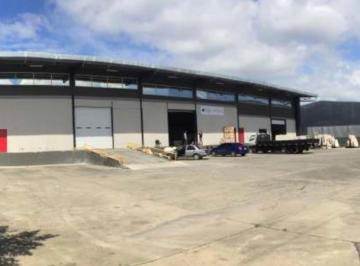 Bodega-Galpón-Depósito · 1167m² · 2 Estacionamientos · Alquiler de Bodega/ Galera en Tocumen (8)