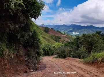 Terreno / Lote · 40600m² · Venta de Finca de Cafe y Frutales, Terreno en El Cacao Capira (13)