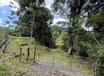Finca , La Pintada · Se Vende Finca en Coclesito, La Pintada, Penonomé