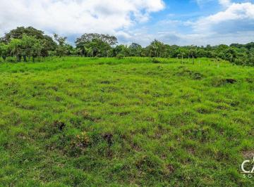 Terreno / Lote , Boquerón · 6.52 Hectáreas de Terreno con Río y Colina en Venta en Guaca, Dolega