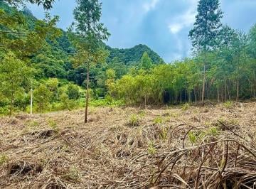 Finca , Volcan · Impresionante Finca en Forma de «l» Bambito