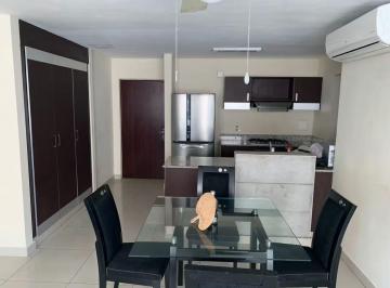 Apartamento · 98m² · 1 Recámara · 1 Estacionamientos · Rentabilidad Anual del 8% Sobre Su Inversión en PH Vitro Loft