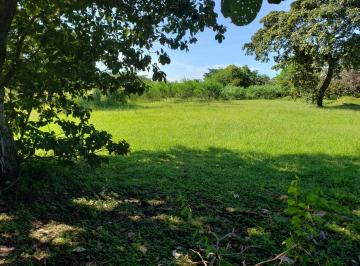 Terreno / Lote , Antón · Se Vende Precioso Terreno con Arboles de Nance Cerca a Rio Hato 1883 m²