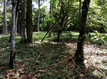 Finca · Finca Bocas del Toro con Playa