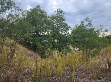 Terreno / Lote , San Carlos · Se Vende Terreno Colindante con La Panamericana
