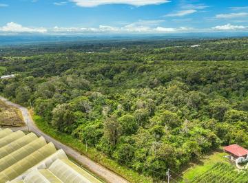 Terreno / Lote , Boquete · 4 Hectáreas + 4,244 m² de Terreno con Bosque en Potrerillos, Boquete