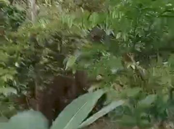 Terreno / Lote · 90000m² · Vendo Lote en Lago Gatun en Colon