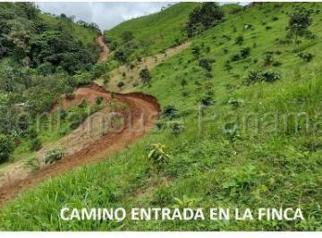 Terreno / Lote , Panamá · Venta de Terreno en Capira 26gb2629