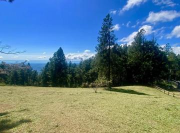 Terreno / Lote , Chame · Terreno Plano con Vistas