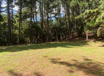 Terreno / Lote · 1m² - PREMIER REALTY PANAMA S.A. · Amplio Terreno con Río