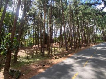 Terreno / Lote , Chame · Terreno Collidante con Río